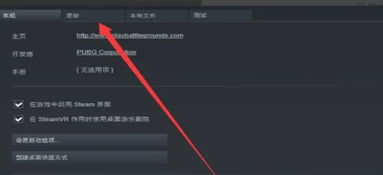 PEAK游戏无法连接服务器怎么解决？