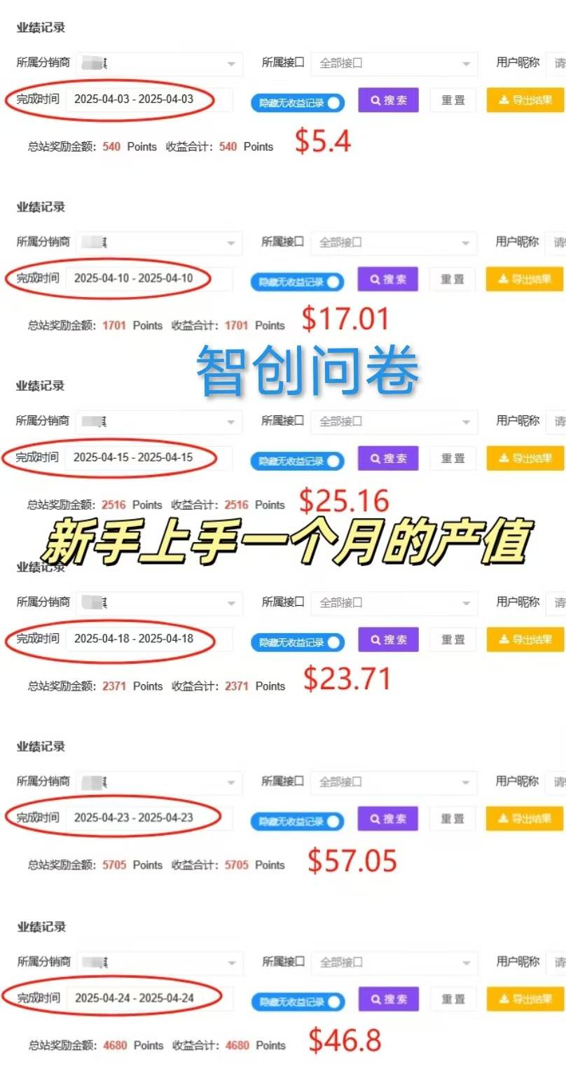 国外问卷调查：一个可长期发展且稳定的项目