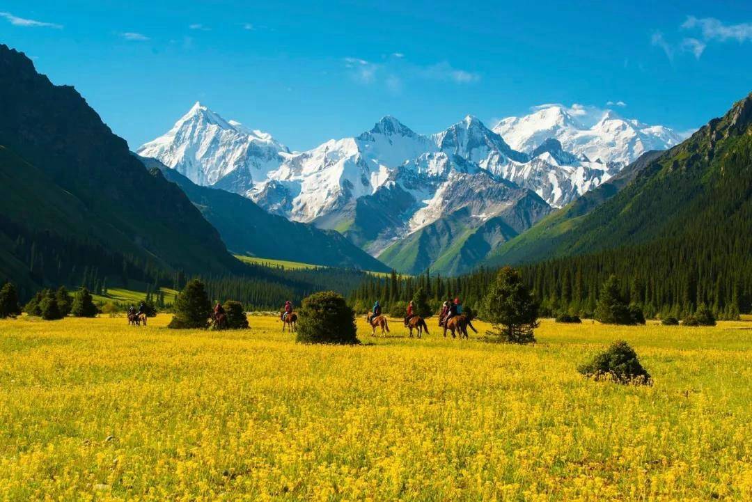 新疆旅游8日游多少钱一个人，驴友推荐！