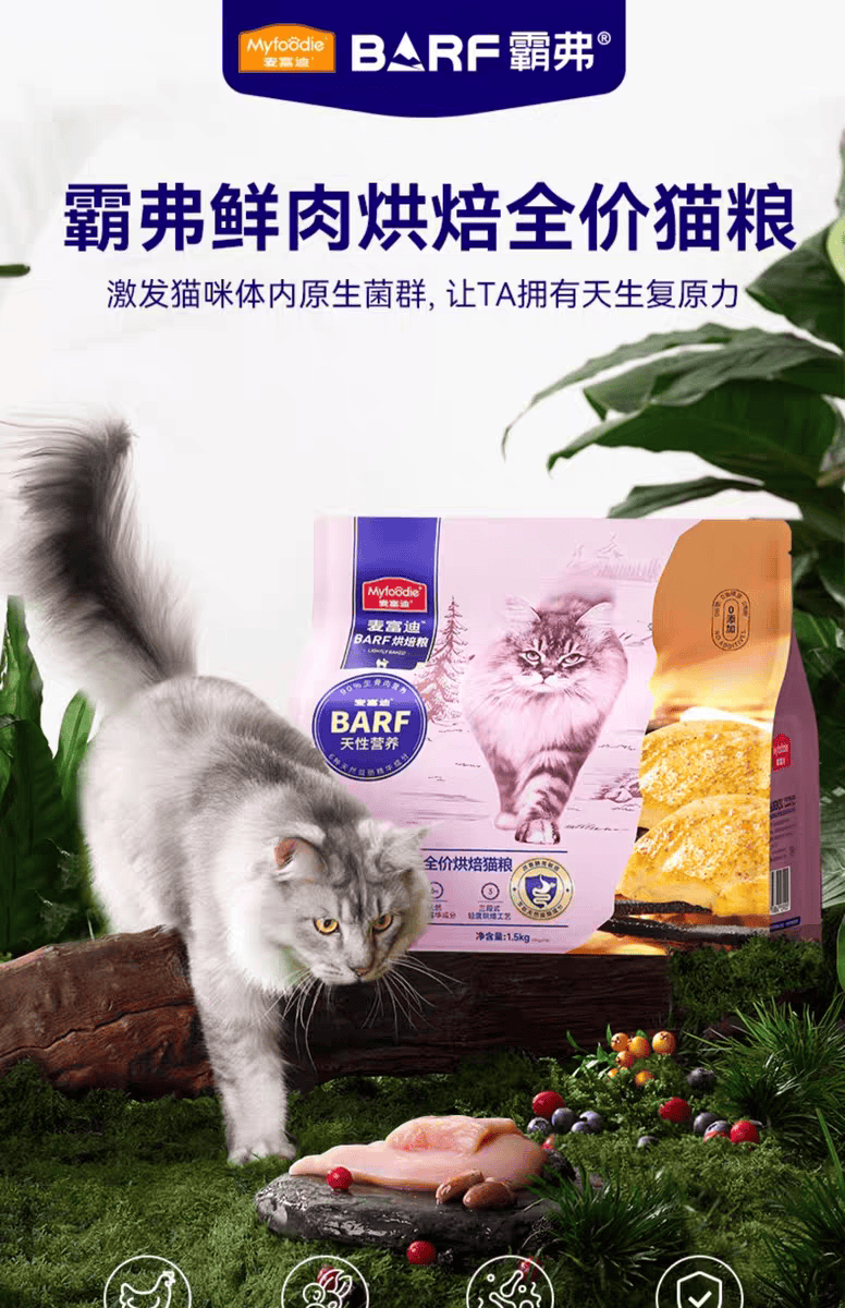 2025最新猫粮口碑排行榜前十名！测评推荐清单