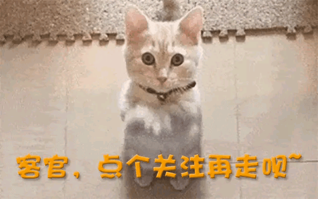 原创            国内赚钱国外花？孙俪一家事件后，移居国外的明星揭露了一个事实
